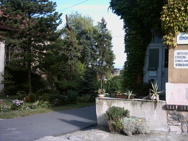 Internt zvtit
